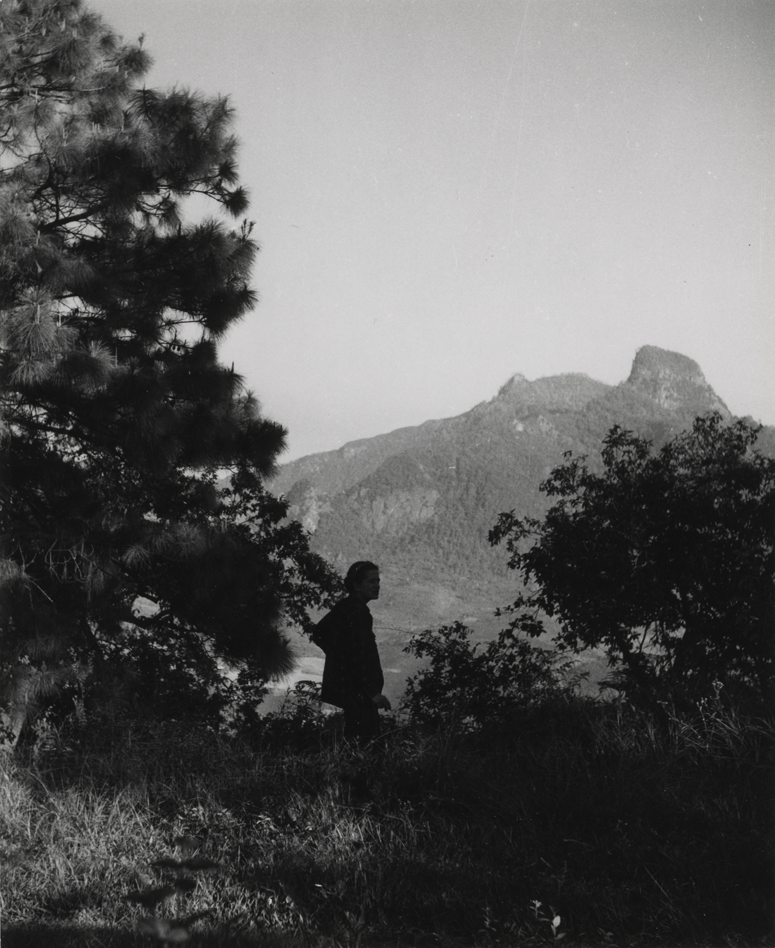 [Irmgard Weitlaner Johnson]